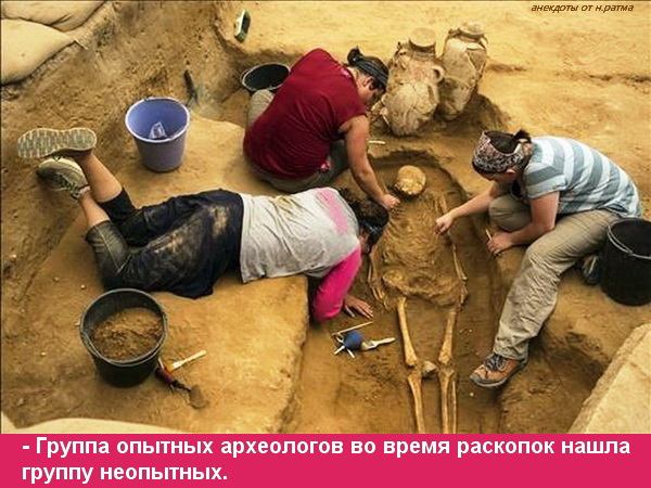 Группа опытных археологов во время раскопок нашла группу неопытных