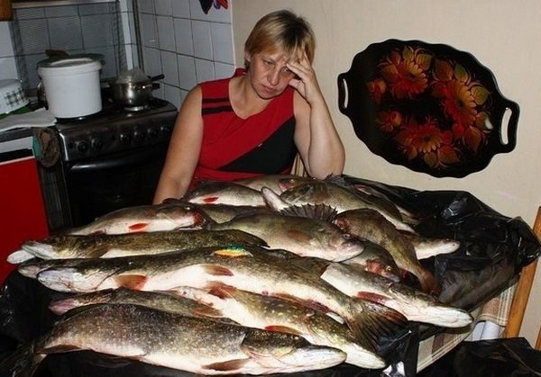 Чистя на кухне уже двадцатую рыбину, жена раздраженно говорит своему