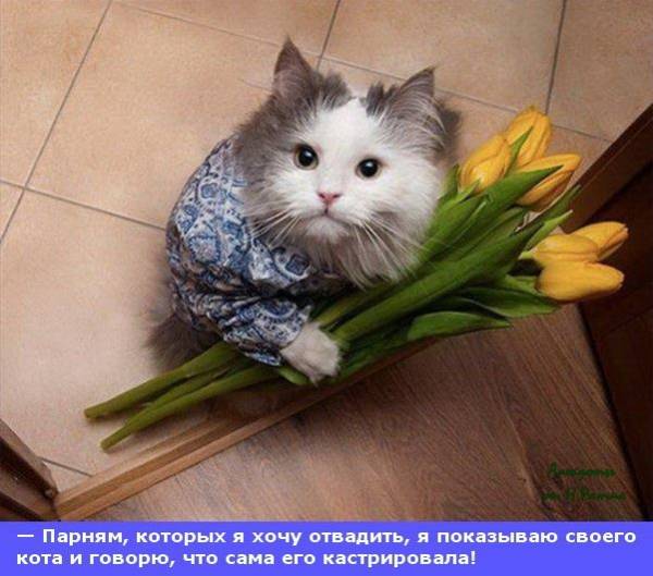 Парням я показываю своего кота и говорю, что сама его кастрировала