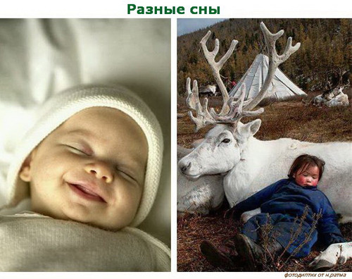 Разные сны, фотодиптих от Н.Ратма